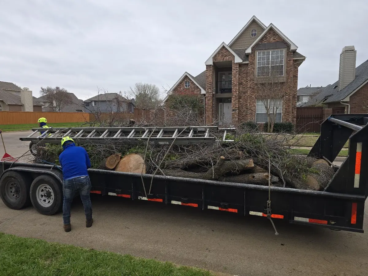 Expert Tree Pest Control with proper safety equipment in Quinter